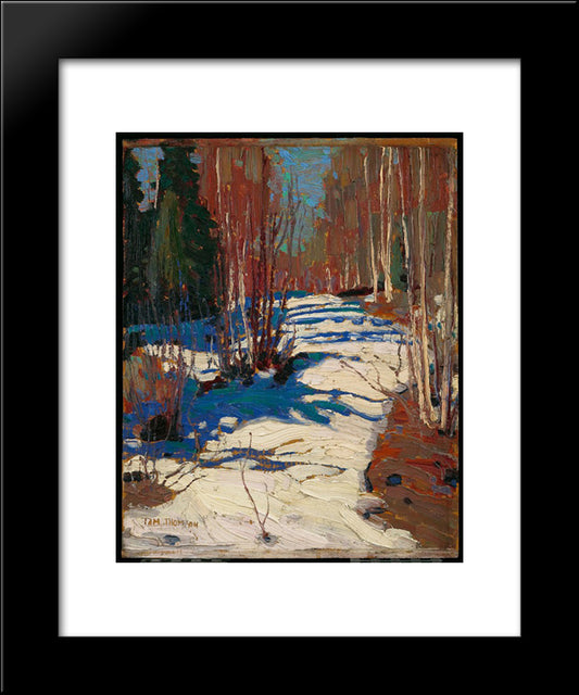 Path Behind Mowat Lodge 20x24 Black Modern Wood Framed Art Print Poster by Thomson, Tom