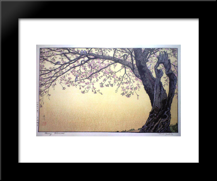 Cherry Blossoms 20x24 Black Modern Wood Framed Art Print Poster by Yoshida, Toshi
