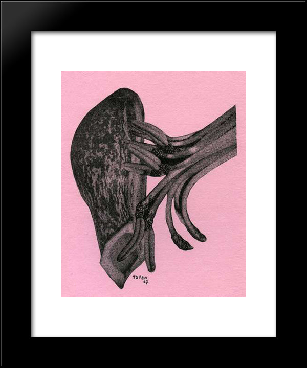 The Germination 20x24 Black Modern Wood Framed Art Print Poster by Toyen