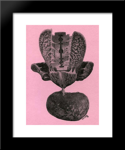 The Gilletes 20x24 Black Modern Wood Framed Art Print Poster by Toyen