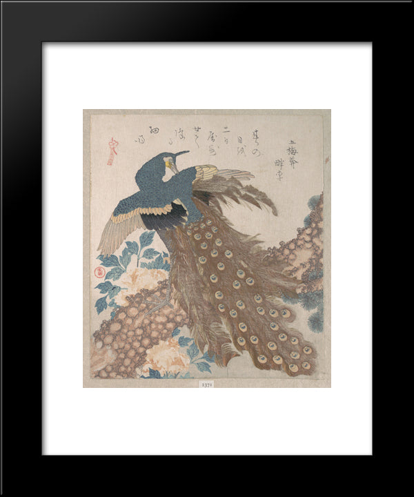 Peacock On The Pine Tree 20x24 Black Modern Wood Framed Art Print Poster by Hokkei, Toyota
