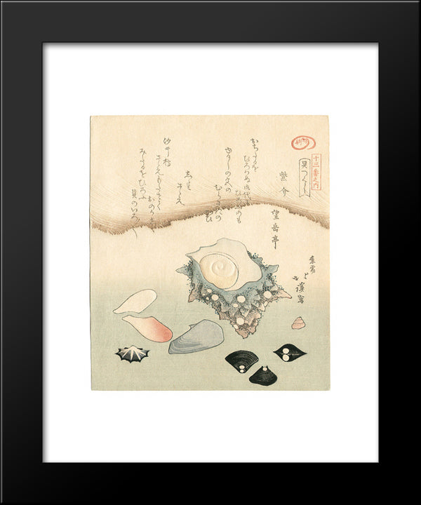 Seashells 20x24 Black Modern Wood Framed Art Print Poster by Hokkei, Toyota
