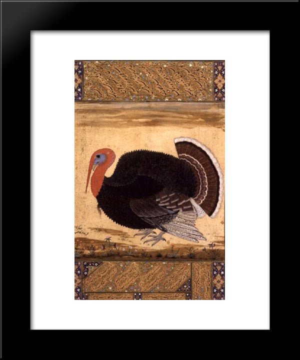 A Turkey-Cock Brought To Jahangir From Goa In 1612 20x24 Black Modern Wood Framed Art Print Poster by Mansur, Ustad