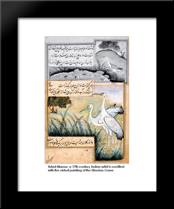 Crane 20x24 Black Modern Wood Framed Art Print Poster by Mansur, Ustad