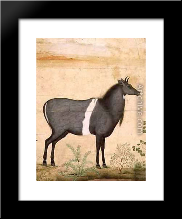 Nilgai Blue Cow 20x24 Black Modern Wood Framed Art Print Poster by Mansur, Ustad