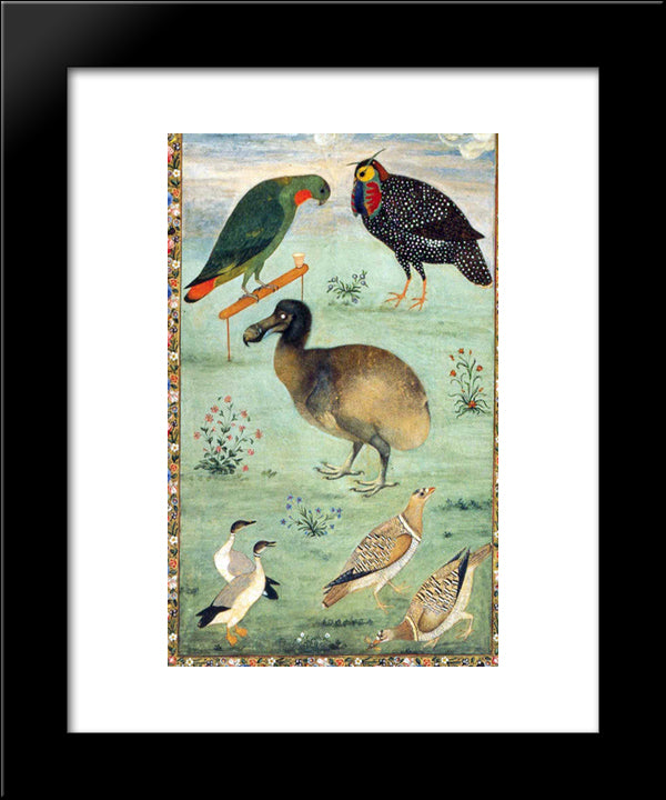 Untitled (Dodo) 20x24 Black Modern Wood Framed Art Print Poster by Mansur, Ustad