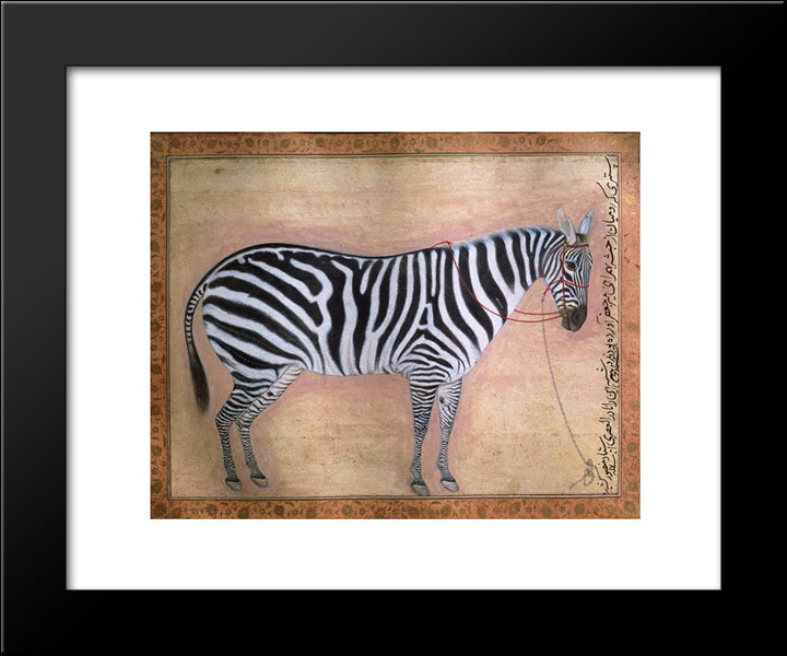 Zebra 20x24 Black Modern Wood Framed Art Print Poster by Mansur, Ustad