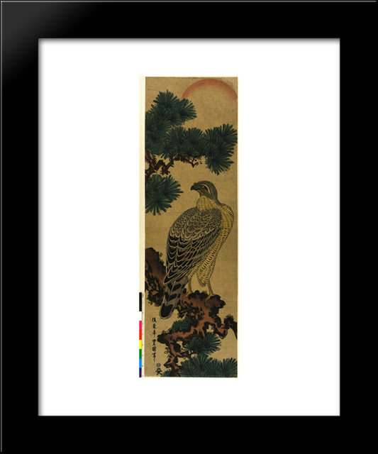 Kachoga. Falcon On A Pine Branch, Rising Sun Above 20x24 Black Modern Wood Framed Art Print Poster by Toyokuni, Utagawa
