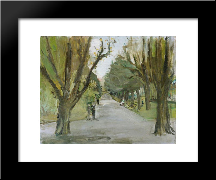 Belvoir - Park In Zurich 20x24 Black Modern Wood Framed Art Print Poster by Varlin