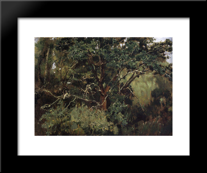 Akhtyrsky Oak 20x24 Black Modern Wood Framed Art Print Poster by Vasnetsov, Viktor