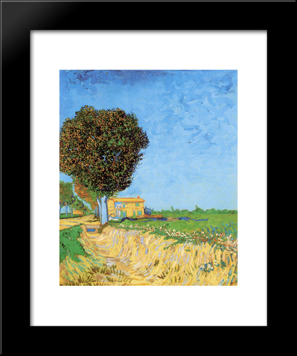 A Lane Near Arles 20x24 Black Modern Wood Framed Art Print Poster by Van Gogh, Vincent