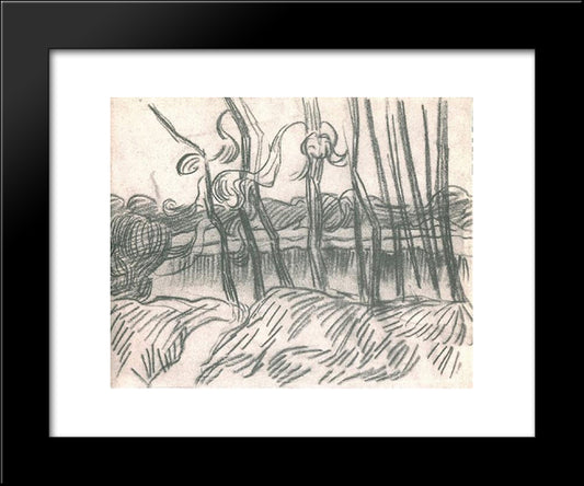 A Row Of Bare Trees 20x24 Black Modern Wood Framed Art Print Poster by Van Gogh, Vincent