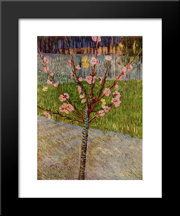 Almond Tree In Blossom 20x24 Black Modern Wood Framed Art Print Poster by Van Gogh, Vincent