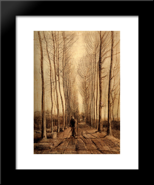 Avenue Of Poplars 20x24 Black Modern Wood Framed Art Print Poster by Van Gogh, Vincent