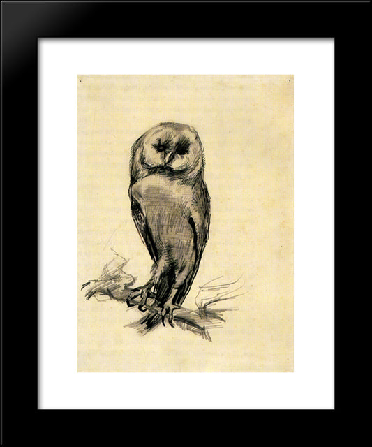 Barn Owl Viewed From The Front 20x24 Black Modern Wood Framed Art Print Poster by Van Gogh, Vincent