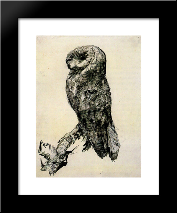 Barn Owl Viewed From The Side 20x24 Black Modern Wood Framed Art Print Poster by Van Gogh, Vincent