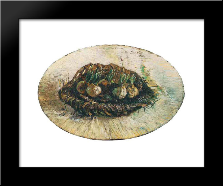 Basket Of Sprouting Bulbs 20x24 Black Modern Wood Framed Art Print Poster by Van Gogh, Vincent