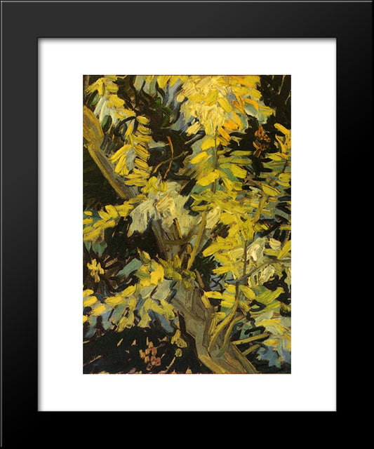 Blossoming Acacia Branches 20x24 Black Modern Wood Framed Art Print Poster by Van Gogh, Vincent