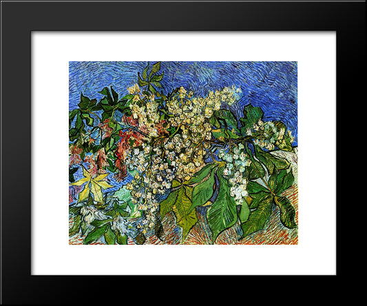 Blossoming Chestnut Branches 20x24 Black Modern Wood Framed Art Print Poster by Van Gogh, Vincent