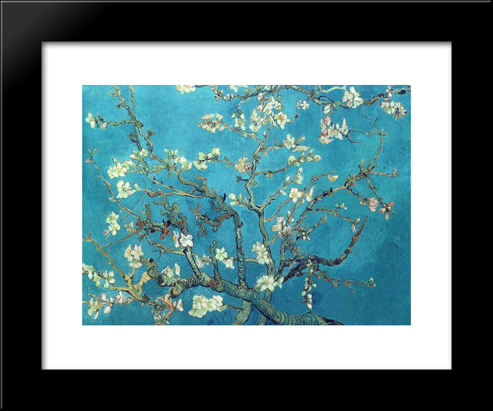 Branches With Almond Blossom 20x24 Black Modern Wood Framed Art Print Poster by Van Gogh, Vincent