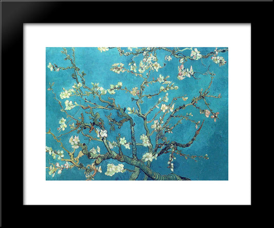 Branches With Almond Blossom 20x24 Black Modern Wood Framed Art Print Poster by Van Gogh, Vincent