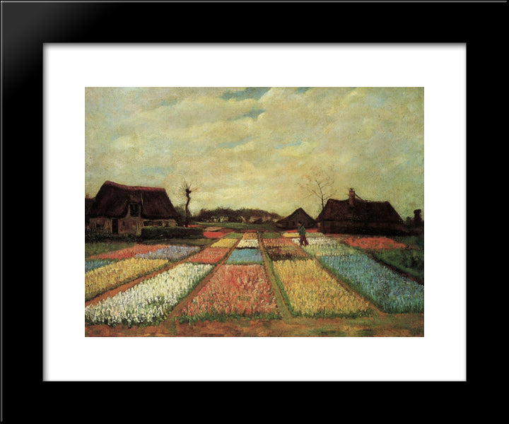 Bulb Fields 20x24 Black Modern Wood Framed Art Print Poster by Van Gogh, Vincent