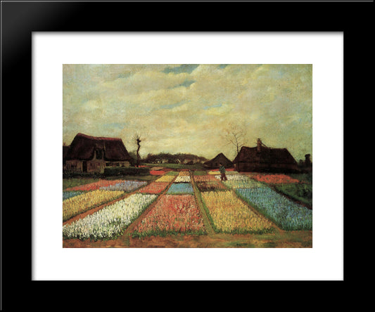 Bulb Fields 20x24 Black Modern Wood Framed Art Print Poster by Van Gogh, Vincent