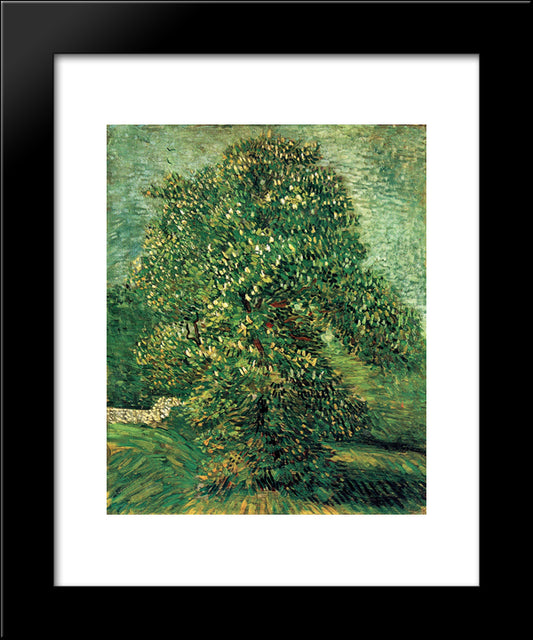 Chestnut Tree In Blossom 20x24 Black Modern Wood Framed Art Print Poster by Van Gogh, Vincent