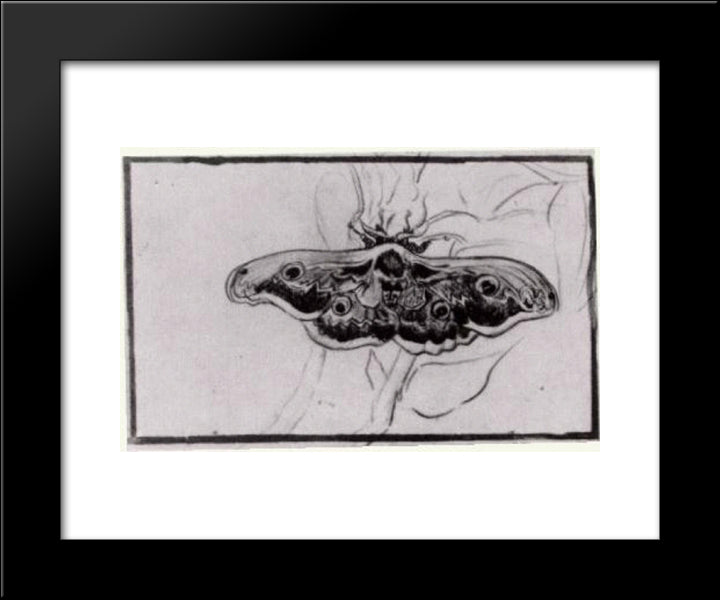 Death'S Head Moth 20x24 Black Modern Wood Framed Art Print Poster by Van Gogh, Vincent