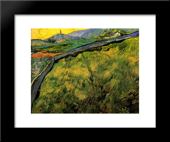 Field Of Spring Wheat At Sunrise 20x24 Black Modern Wood Framed Art Print Poster by Van Gogh, Vincent