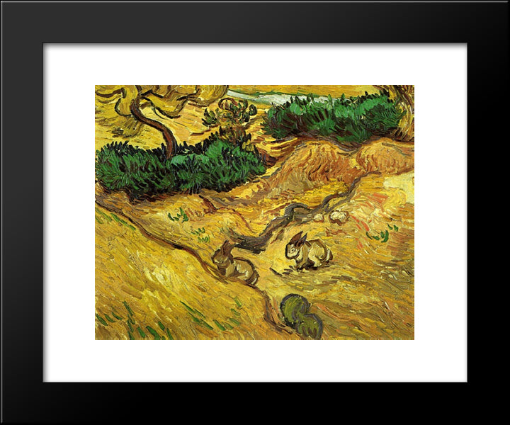 Field With Two Rabbits 20x24 Black Modern Wood Framed Art Print Poster by Van Gogh, Vincent