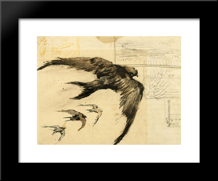 Four Swifts With Landscape Sketches 20x24 Black Modern Wood Framed Art Print Poster by Van Gogh, Vincent