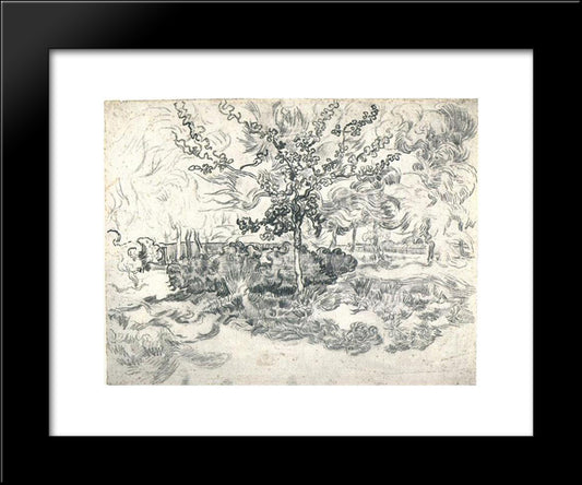 Garden Of The Asylum 20x24 Black Modern Wood Framed Art Print Poster by Van Gogh, Vincent