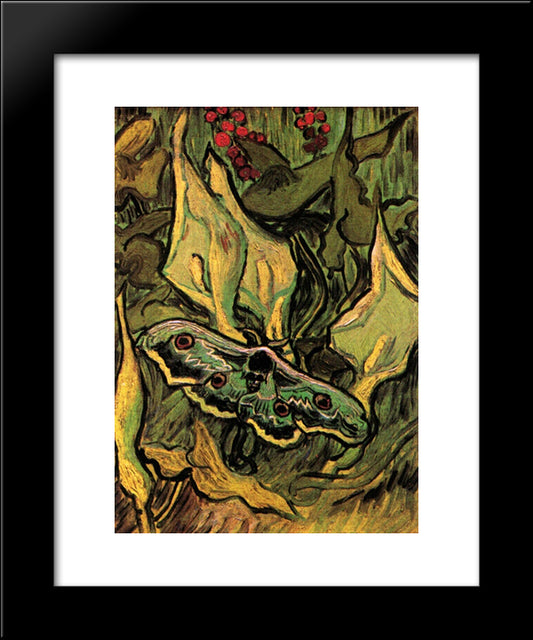 Great Peacock Moth 20x24 Black Modern Wood Framed Art Print Poster by Van Gogh, Vincent