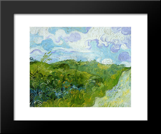 Green Wheat Fields 20x24 Black Modern Wood Framed Art Print Poster by Van Gogh, Vincent