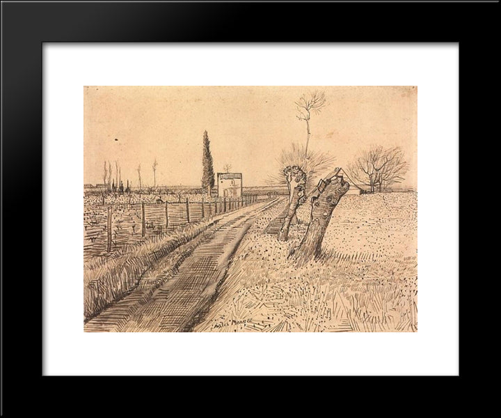 Landscape With Path And Pollard Trees 20x24 Black Modern Wood Framed Art Print Poster by Van Gogh, Vincent