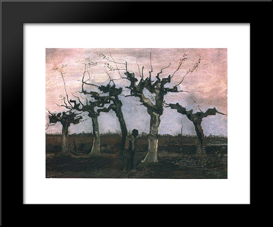 Landscape With Pollard Willows 20x24 Black Modern Wood Framed Art Print Poster by Van Gogh, Vincent