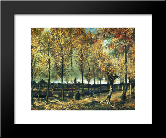 Lane With Poplars Near Nuenen 20x24 Black Modern Wood Framed Art Print Poster by Van Gogh, Vincent