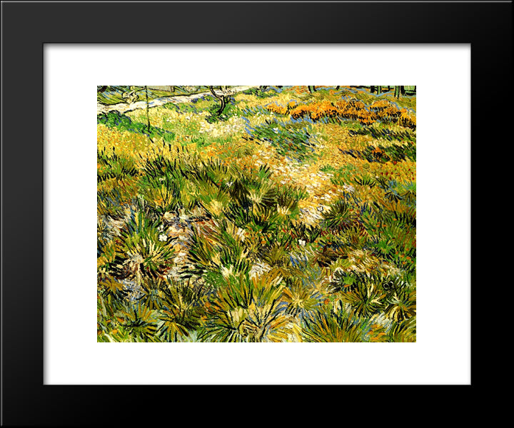 Meadow In The Garden Of Saint-Paul Hospital 20x24 Black Modern Wood Framed Art Print Poster by Van Gogh, Vincent