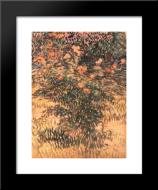 Oleanders, The Hospital Garden At Saint-Remy 20x24 Black Modern Wood Framed Art Print Poster by Van Gogh, Vincent