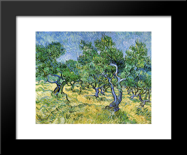 Olive Grove 20x24 Black Modern Wood Framed Art Print Poster by Van Gogh, Vincent