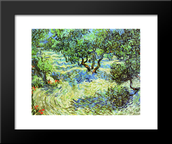 Olive Grove - Bright Blue Sky 20x24 Black Modern Wood Framed Art Print Poster by Van Gogh, Vincent