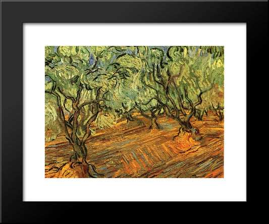 Olive Grove - Bright Blue Sky 20x24 Black Modern Wood Framed Art Print Poster by Van Gogh, Vincent