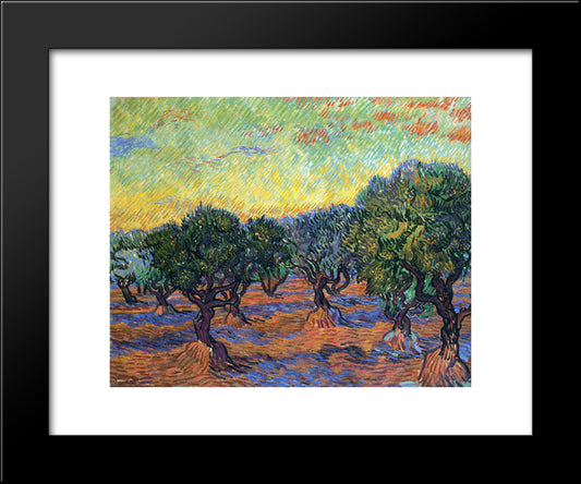 Olive Grove - Orange Sky 20x24 Black Modern Wood Framed Art Print Poster by Van Gogh, Vincent