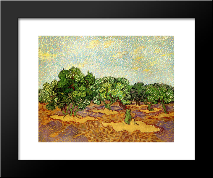 Olive Grove - Pale Blue Sky 20x24 Black Modern Wood Framed Art Print Poster by Van Gogh, Vincent