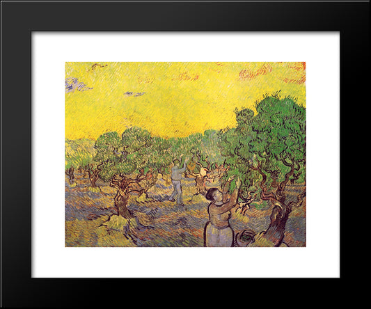 Olive Grove With Picking Figures 20x24 Black Modern Wood Framed Art Print Poster by Van Gogh, Vincent