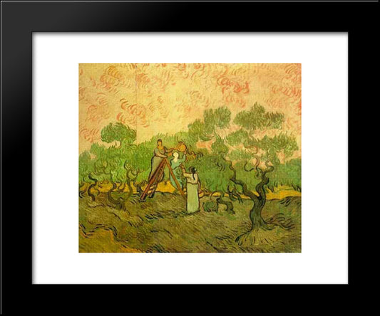 Olive Picking 20x24 Black Modern Wood Framed Art Print Poster by Van Gogh, Vincent