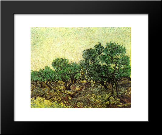 Olive Picking 20x24 Black Modern Wood Framed Art Print Poster by Van Gogh, Vincent