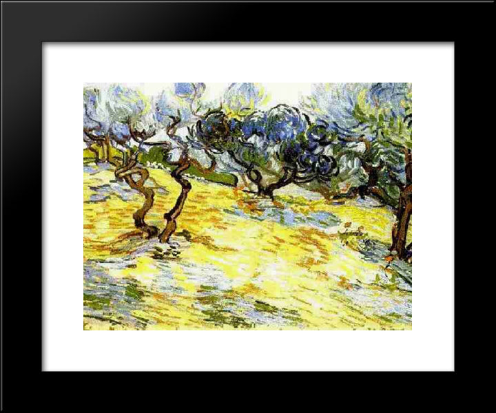 Olive Trees Bright Blue Sky 20x24 Black Modern Wood Framed Art Print Poster by Van Gogh, Vincent