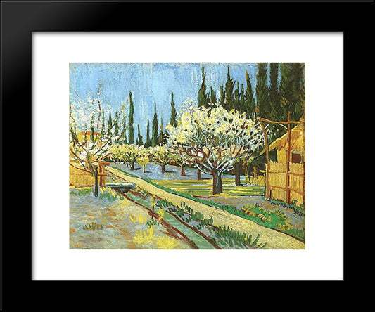 Orchard In Blossom, Bordered By Cypresses 20x24 Black Modern Wood Framed Art Print Poster by Van Gogh, Vincent